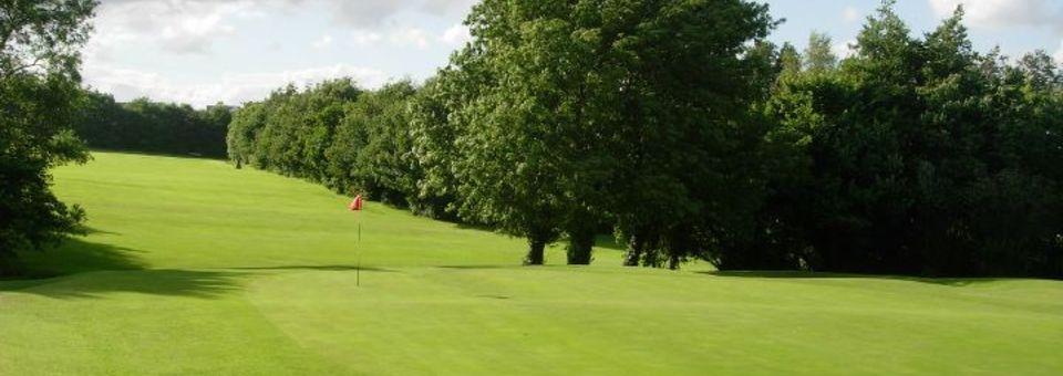 Stepaside Golf Club - photo 4