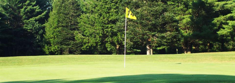 Holland Meadows Golf Course - photo 4