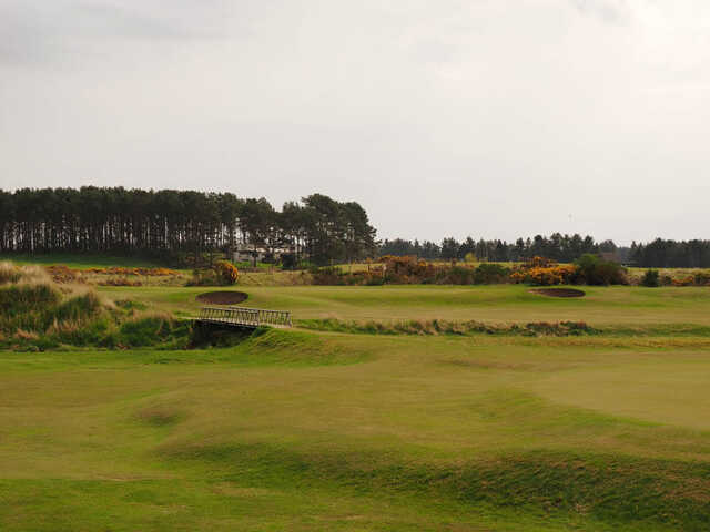 Tain Golf Club - photo 3