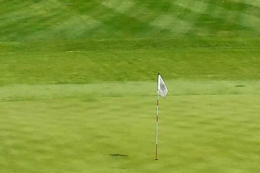 York Golf & Tennis Club - photo 4