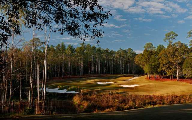 The Robert Trent Jones Golf Trail at Magnolia Grove - Crossings Course - photo 4