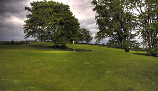 Allendale Golf Club - photo 5