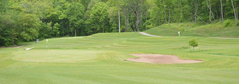 Forest Hills Golf Course - photo 4
