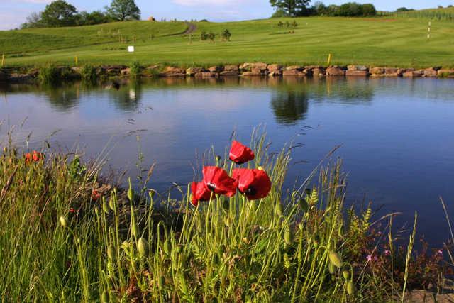 Grove Golf Centre - photo 3