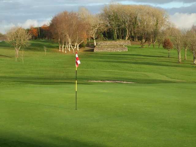 Tubbercurry Golf Club - photo 3