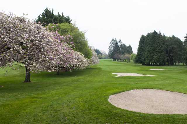 Royal Tara Golf Club - photo 3