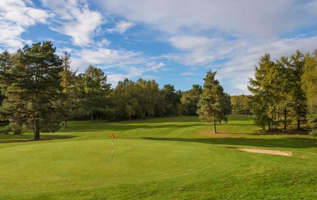 Tilgate Forest Golf Centre - photo 4