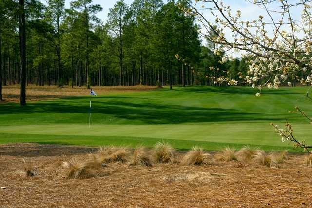 Legacy Golf Links