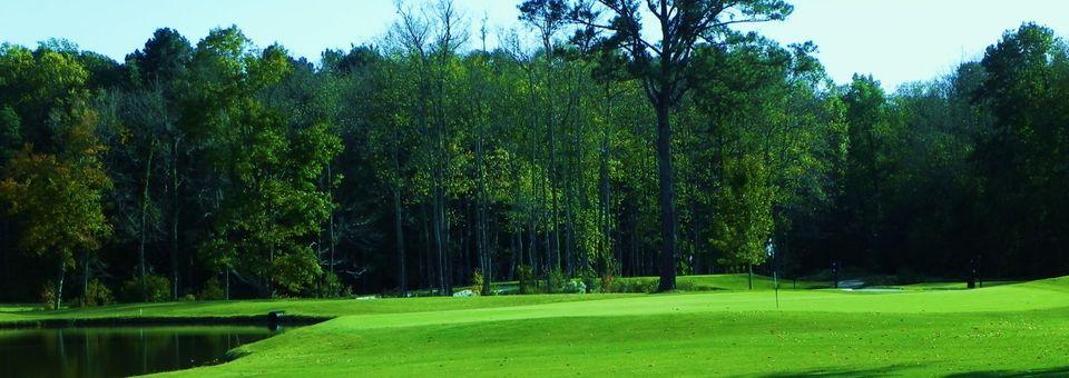 The Pines Golf Course - photo 5