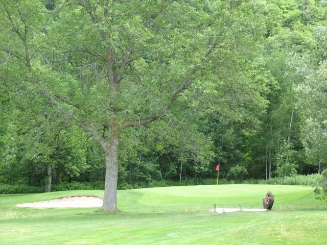 Kingsway Golf - photo 6
