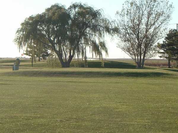Stanton County Prairie Pines - photo 2