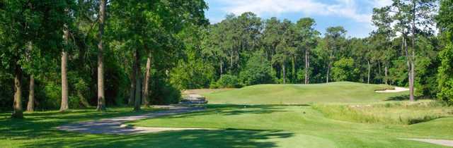 Panther Trail - photo 2