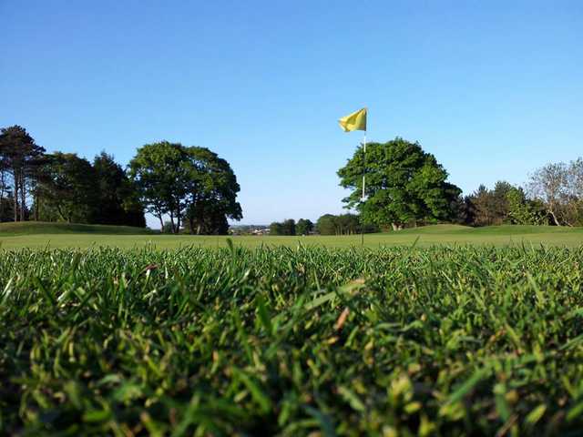 St. Patrick's Golf Club, Downpatrick - photo 2