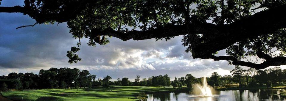 Palmer South Course at The K Club - photo 5