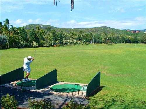 Honolulu Country Club - photo 5