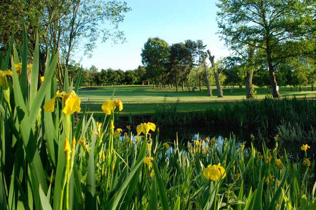 Pike Hills Golf Club - photo 2