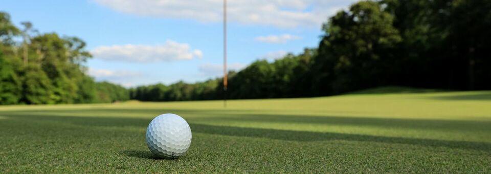 Apple Island Golf Course At Apple Island Resort - photo 3