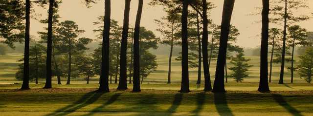 Rocky Branch Golf Club - photo 3