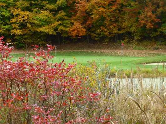 Wahconah Country Club - photo 5