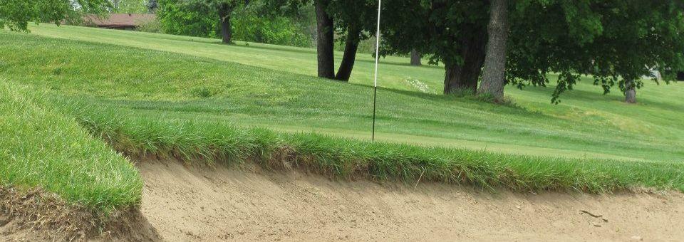 Gay Brewer, Jr. Course @ Picadome - photo 4