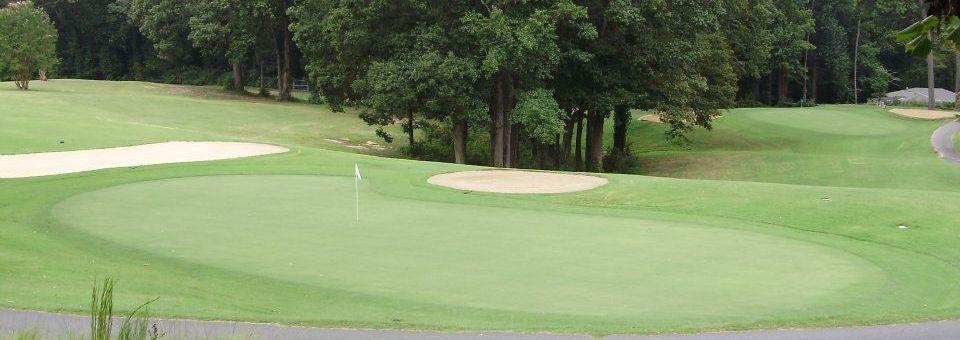 Alfred Tup Holmes Golf Course - photo 5
