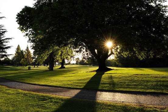 Green Tree Golf Club - photo 1