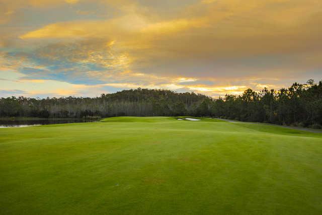 Plantation - photo 4