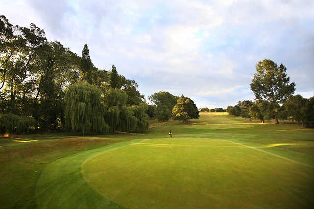 Haste Hill Public Golf Course - photo 3