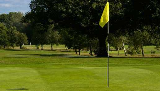 Redhill & Reigate Golf Club - photo 4