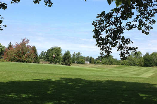 Lake Leann Golf Course - 9 Holes - photo 4