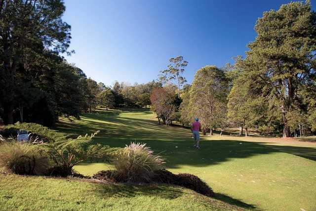 Tamborine Mountain Golf Club - photo 2