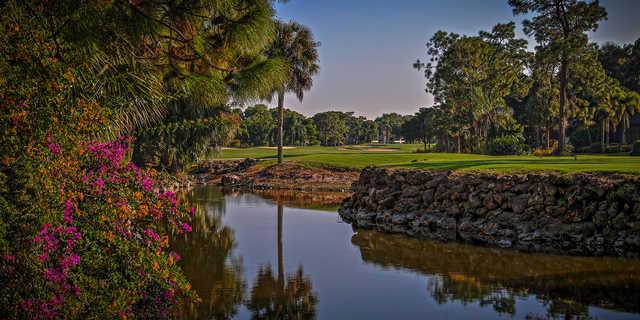The Forest Country Club - photo 2