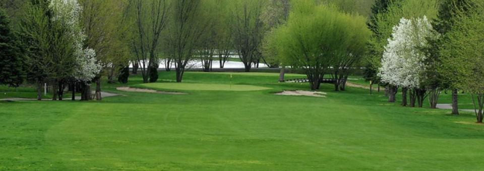 Four Seasons Golf Club - photo 5