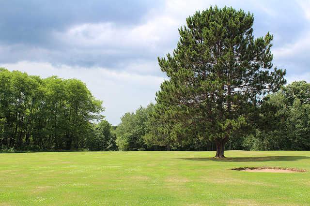 Yellow Lake Golf Course - photo 3