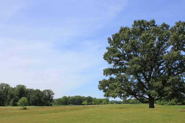 High Point Golf Club (IL) - photo 6