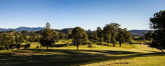 Murwillumbah Golf Club - photo 7