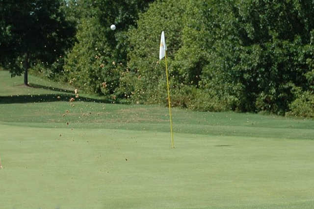 Paradise Valley Par 3 GC - photo 2