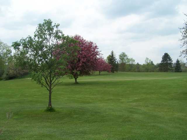 Devil's Knob Golf Course