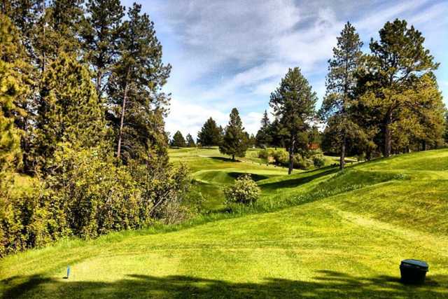 Pine Meadows Golf Course - photo 1