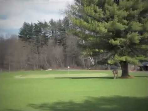 Meadows Golf Course - photo 2