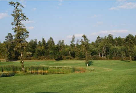 Black Bear Golf Complex - photo 3