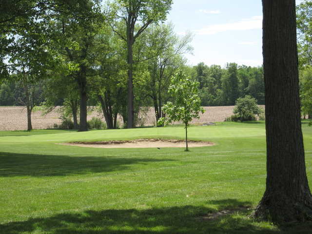 Hickory Hills - photo 3