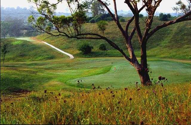 Macarthur Grange Golf Course - photo 3