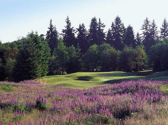 White Horse Golf Club - photo 2