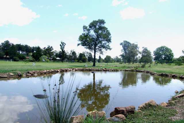 Gatton Jubilee Golf Club - photo 2