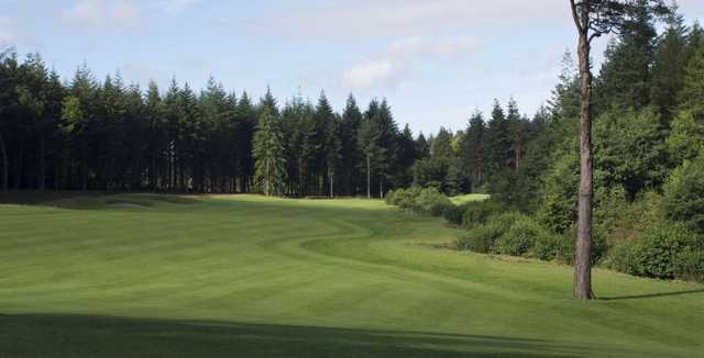 Remedy Oak Golf Club - photo 3
