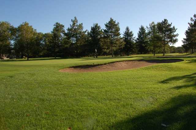 Bemidji Town & Country Club - photo 3