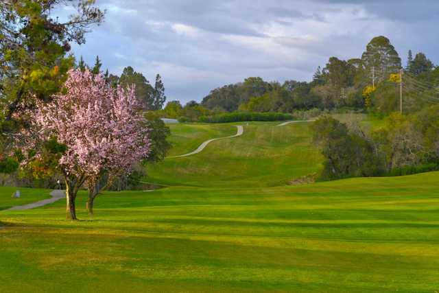 Tayman Park Golf Course - photo 1