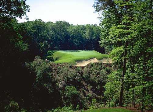 The Tradition Golf Club At Stonehouse - photo 8