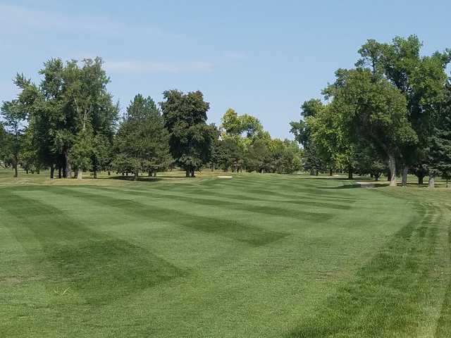 Elmwood Park Golf Course - photo 3